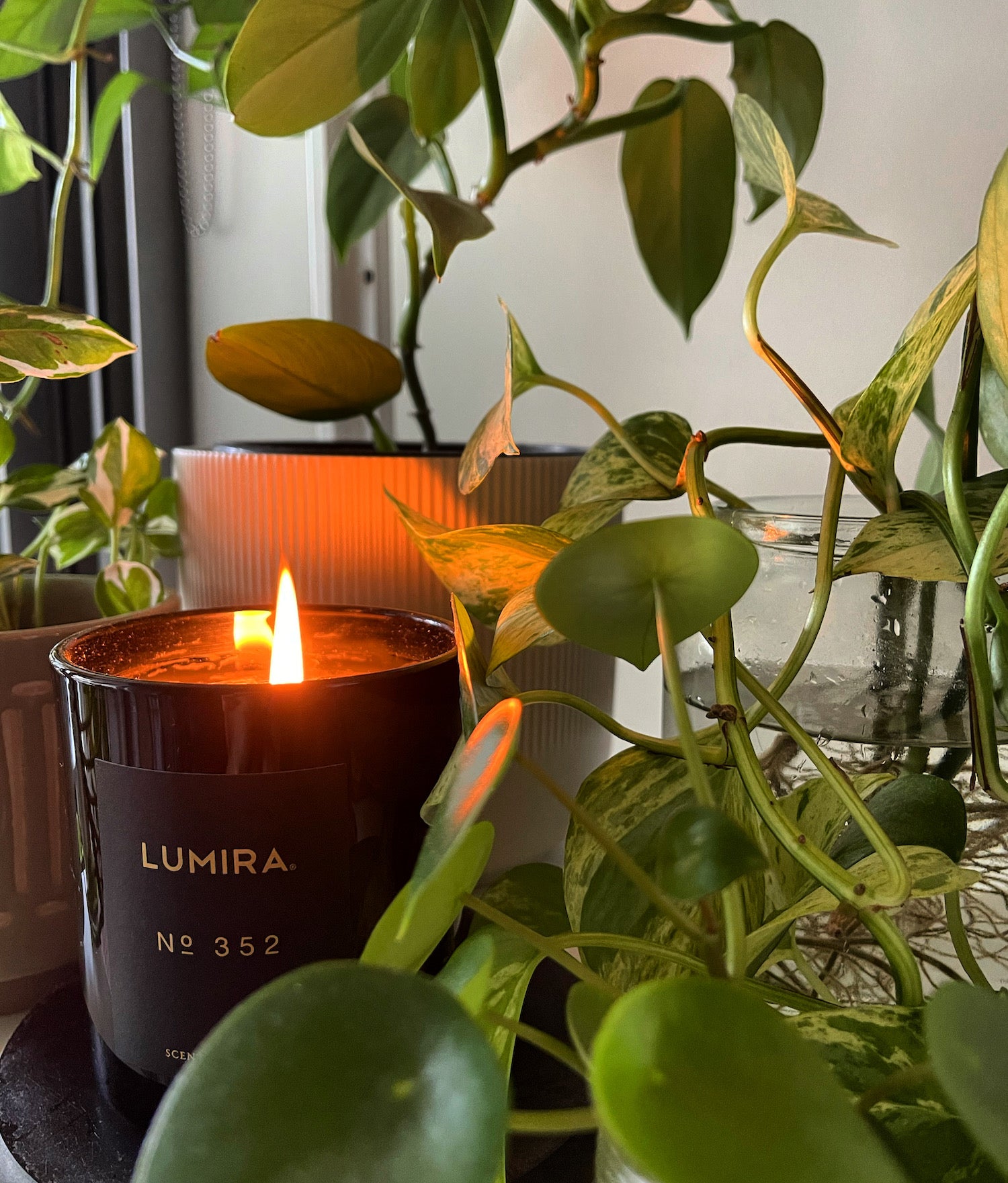 CANDLES