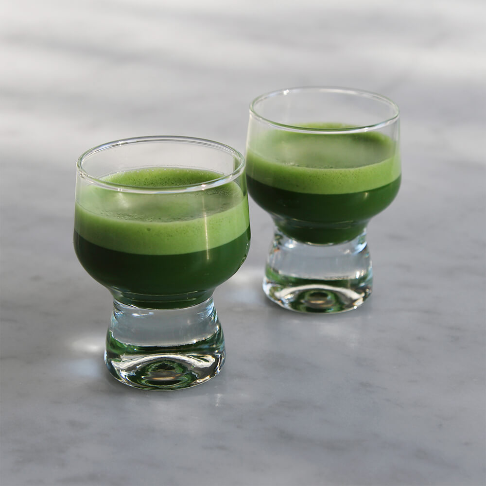 AOI Seicha Shiou Matcha Usucha