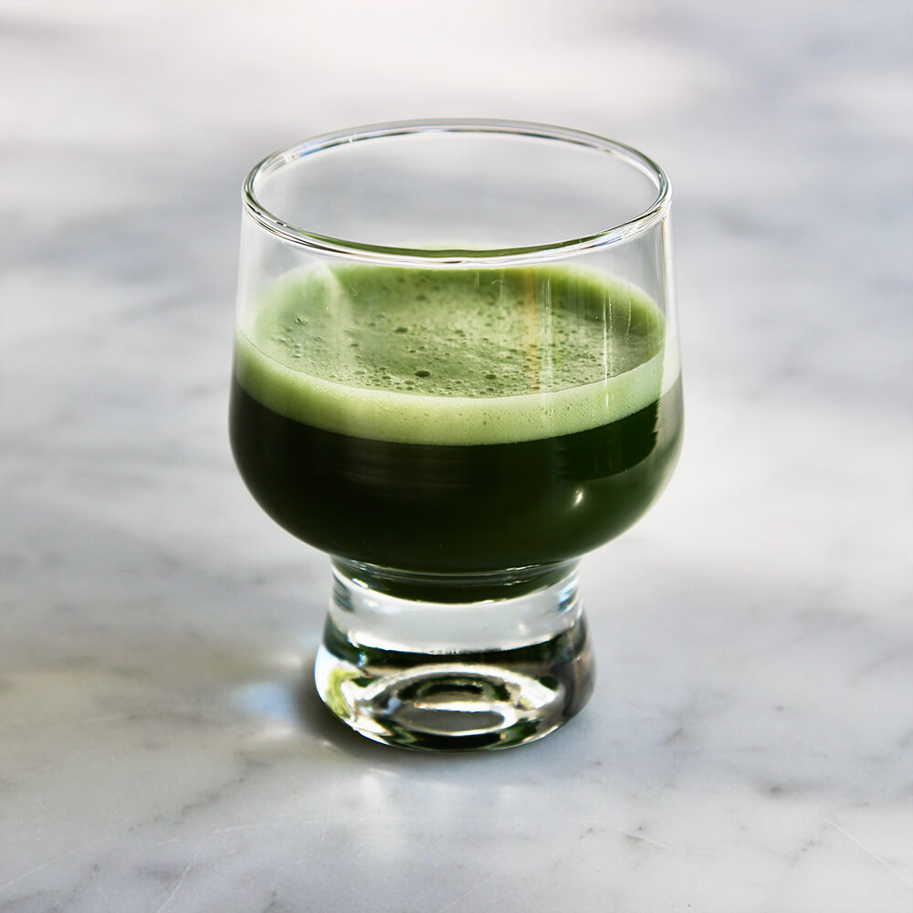 Matcha - Hisen (Tea School Selection)
