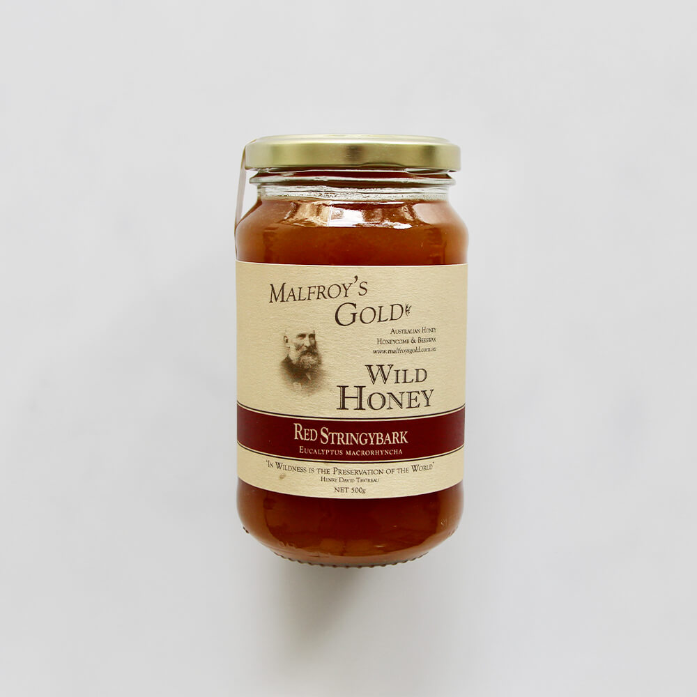 Malfroy's Gold Red Stringybark Honey