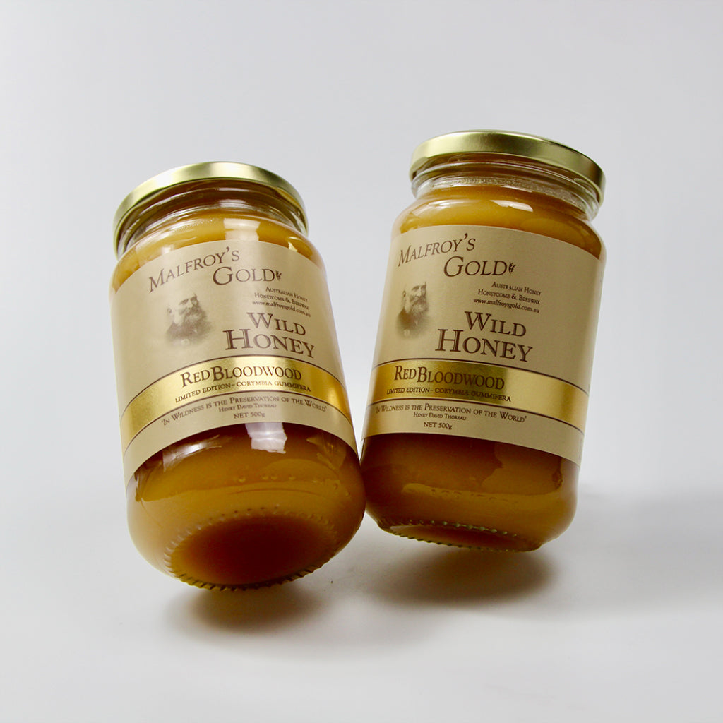 Malfroy's Gold Wild Red Bloodwood Honey