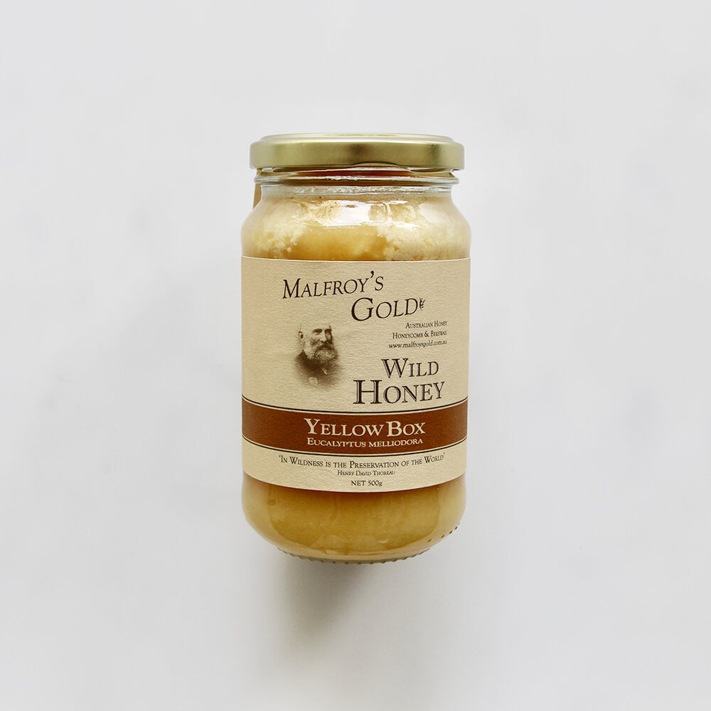 Malfroy's Gold Yellow Box Honey