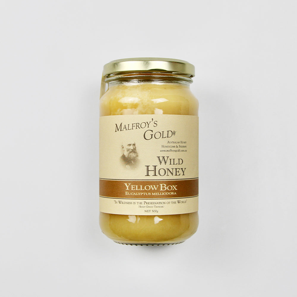 Malfroys Gold Yellow Box Honey