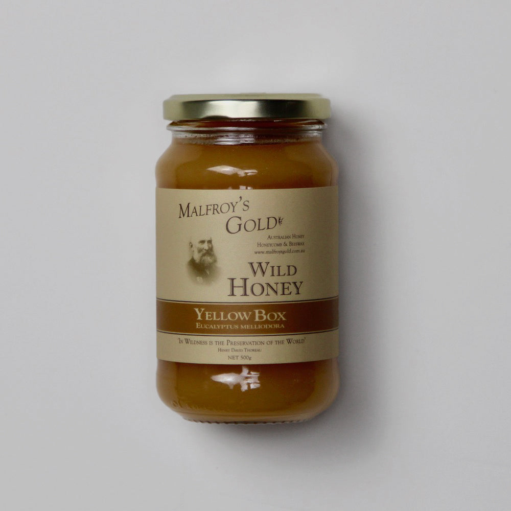 Malfroys Gold Yellow Box Wild Honey